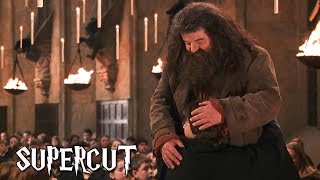 Harry Potter  Best of Hagrid [upl. by Neilla525]