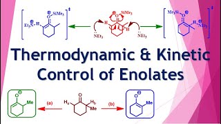 Thermodynamic vs Kinetic Control of Enolate Formation CSIR NET GATE IIT JAM BSc MSc [upl. by Woodruff]