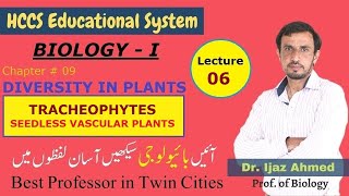 Tracheophytes Seedless Vascular Plants  Ch DIVERSITY IN PLANTS 1ST YEAR  Dr IJAZ AHMED LEC6 [upl. by Groeg392]