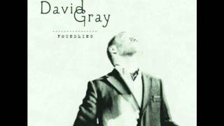 the dotted line david gray [upl. by Ntsud]