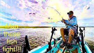 Kayak fishing Fort Fisher NC for drag screaming fish [upl. by Cinomod948]