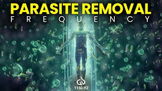 Parasite Removal Frequency 1150 HZ Rife Frequency Destroy Parasites [upl. by Peppie364]