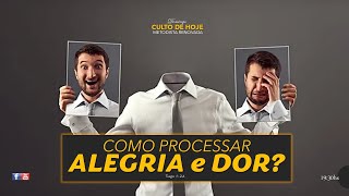 COMO PROCESSAR ALEGRIA E DOR [upl. by Akinehs]