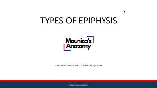 General Anatomy  Skeletal Systems  Types of Epiphysis 33 [upl. by Wyndham]