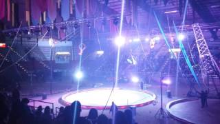 Jordan World Circus Tigers and more [upl. by Luahs]