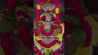 🙏🌺 OM Namah shivaya 🌺🙏 Subscribe now 👍youtubeshorts archanajj 👍🌺🙏 [upl. by Fransisco]