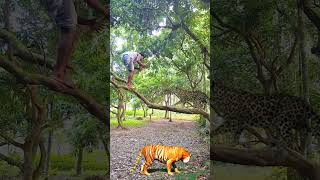 Tiger 🐆 attack Me in My Village vfx Funny vfx​ videos​ shorts​ viralvfx​ cheetah​ tiger​ [upl. by Lenz]