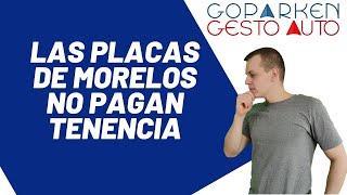 ¡Las placas de Morelos no pagan tenencia [upl. by Clawson]