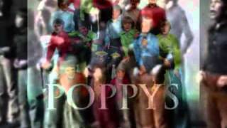 Les PoppysNon Ne Criez Pas [upl. by Hiamerej]