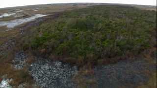 Everglades Mountains and Valleys Tropical Hardwood Hammock [upl. by Bala]