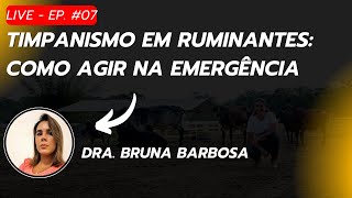 Live EP 07  Timpanismo em Ruminantes Como Agir na Emergência  05112024 [upl. by Ijneb]