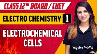 ElectroChemistry 01  Electrochemical Cells  Class 12thCUET [upl. by Ayarahs793]