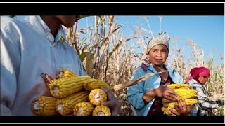 Año Internacional de la Agricultura Familiar [upl. by Sheelah428]