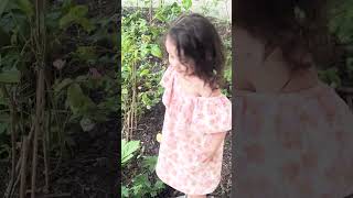 DAISY DAISY GIVE ME YOUR ANSWER DO 2 shorts viral [upl. by Mahmoud]