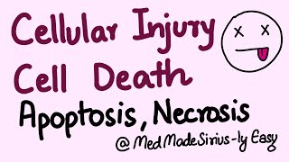 Cellular Injury and Cell Death ApoptosisNecrosis and Types of Necrosis [upl. by Wiatt526]