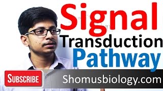 Signal transduction pathway  G protein signaling pathway [upl. by Alleuqahs]