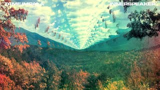 Tame Impala  InnerSpeaker Full Album [upl. by Nitsyrk]