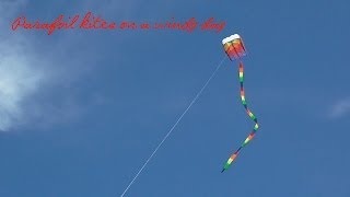 Parafoil kites on a windy day [upl. by Asyram785]