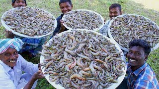 PRAWNS GRAVY Recipe  Villagers cooking Prawns Masala  Shrimp Curry  Healthy Village Food [upl. by Boehmer]