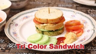 Tricolour Bread Sandwich  Indian Vegetarian Snacks Recipe in Hindi [upl. by Wardle]