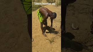 Easiest way to catch fish in a river in chipinge zimbabwe silenthustlerug zimbabwe farming [upl. by Eigriv689]