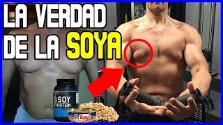 ¿LA SOYA quotFEMINIZAquot Y BAJA TESTOSTERONA ESTRÓGENOS Y HOMBRES [upl. by Northway]