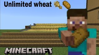 I Made wheat Farm in My Survival WorldUnlimited wheatMinecraft [upl. by Greenwood]