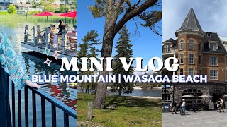 Mini Vlog  BLUE MOUNTAIN WASAGA BEACH CANADA Before summer ends 🌊⛰️🇨🇦 [upl. by Auqenahc]