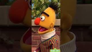 Best Bert and Ernie Moments sesamestreet [upl. by Nivlac167]