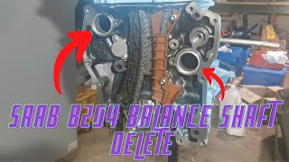 Saab B204 Balance Shaft Delete [upl. by Gretchen]