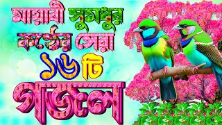 মায়াবী সুমধুর কন্ঠের ১৬টি গজল মন উজার করা গজল Selected Gajal Islamic New Gojol New Bangla Gojol [upl. by Inaliel]