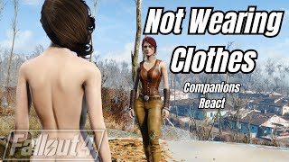 Not Wearing Clothes  Companions React  Fallout 4 [upl. by Erialc979]