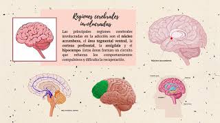 NEUROBIOLOGÍA DE LAS ADICCIONES [upl. by Enavi]