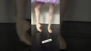 o look a pointe shoe [upl. by Abramson]