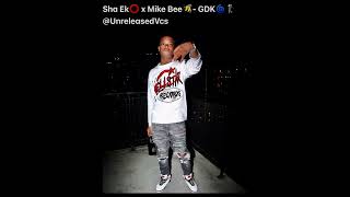 Sha Ek x Mike Bee GDK Check Description Unreleased [upl. by Spieler]