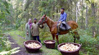 Happy Independent Life of SelfSufficient Families In Remote Villages of Russia [upl. by Bendicty760]