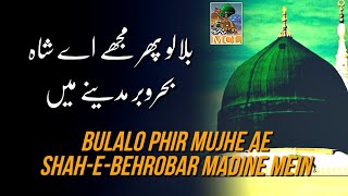 Bulalo Phir Mujhe Ae Shah E Behrobar Madine Mein  new Kalam 2024  miladcommetelingampet [upl. by Astrea]