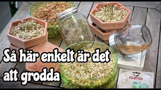 Så enkelt är det att grodda [upl. by Pelagia]