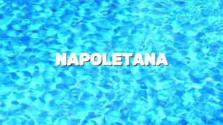 LLOVI  NAPOLETANA KOMPA RMX [upl. by Thetisa938]