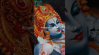 Sri Krishna Mantra 🥹❤️ shorts krishna [upl. by Rhett621]