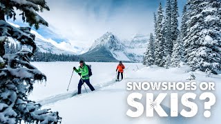 Snowshoes vs Skis  What is Best for Winter Backpacking [upl. by Jarl]