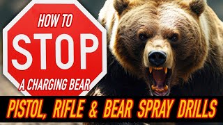 Double grizzly attack survivor rates internet bear attack drills  Is bear spray better than a gun [upl. by Haslett331]