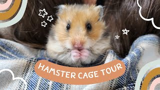 HAMSTER CAGE TOUR 🐹 UPDATES [upl. by Kennie]