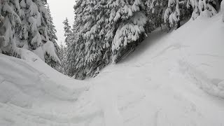 Powder  Arizona Snowbowl February 7 2024 [upl. by Auqenwahs]