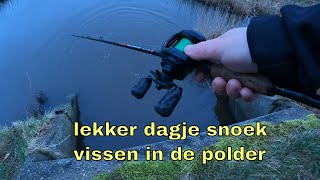 Snoek Vissen in de Polder Bijna Gesloten tijd [upl. by Lemraj]