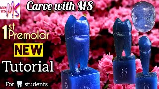 Maxillary First Premolar carving  Maxillary 1st premolar carving  tutorial  wax carving [upl. by Komsa]