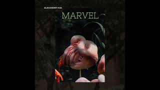 Alexander Vija  Marvel [upl. by Lexerd]