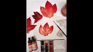 Illustrating a Virginia creeper leaf [upl. by Asille964]