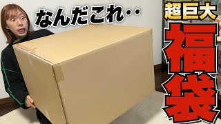 【福袋2024】3万円フィギュア福箱の中身が圧倒的にヤバすぎた‥。｜あみあみ福箱 [upl. by Ecirb]