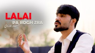 Pashto New Songs 2024 Lalai Pa Rogh Zra Marawar De  Nosherwan Ashna  Official Music Video [upl. by Nylavad]